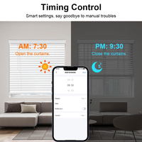 Moteur de store enrouleur intelligent Tuya 2 Nm pour tube de 37/38 mm, commande vocale électrique Alexa Google Home, contrôle via application pour hôtels