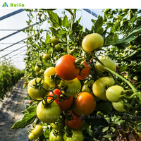 Livraison rapide de bonne qualité Film plastique multi-travées Tunnel serre fruits culture de tomates