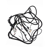 Faisceau d'entrée ACD 6725385 assemblage faisceau de câbles de voiture assemblage de câbles électriques faisceau de câblage automobile personnalisé pour voiture