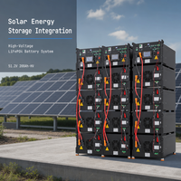Batterie de stockage d'énergie LiFePO4 51,2 V 200 Ah, système de batterie haute tension 4-12 modules 204,8-614,4 V pour stockage solaire