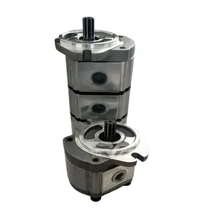 Mini pompe à engrenages hydraulique à haute pression du BD/BD-333A-666R pour l'équipement de sylviculture d'agriculture et le petit cylindre