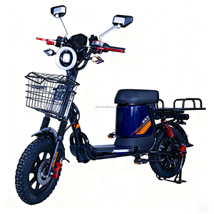 DISIYUAN Vente en gros Moto <span class=keywords><strong>cargo</strong></span> électrique 16 pouces 48V/60V 1000W pour livraison commerciale, style vélo électrique - Product Image 2