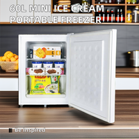 Congélateur vertical électrique mini 50L à porte pleine, pour usage domestique et hôtelier, alimentation manuelle, table à glaces, réfrigérateur pour produits surgelés