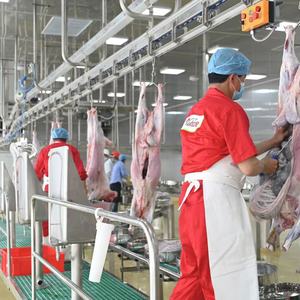 Ligne d'abattage de chèvres à haute efficacité avec machine à dépoillement et plateforme de travail - Product Image 1