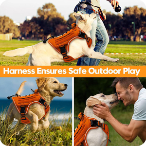 Arnés Táctico Reflectante para Perros, Chaleco de Pecho para Entrenamiento al Aire Libre, Caza, Caminatas, Sin Tirones, Hebilla Ajustable, Chaleco de Pecho, Arnés para Perros - Product Image 5