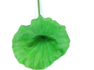 Pianta Artificiale di Foglia di Loto Singola Piccola ed Ecologica a Prezzo Competitivo per Decorazioni Interne di Matrimoni e Capodanno - Product Image 2