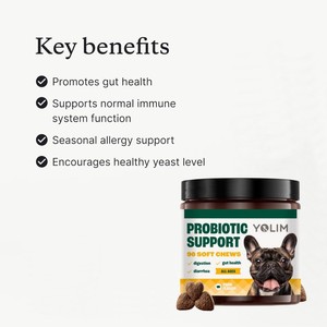Échantillon gratuit soutient la santé intestinale suppléments et vitamines pour animaux de compagnie probiotiques pour chiens avec mélange d'enzymes - Product Image 2