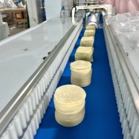 Machine d'emballage horizontale électrique modèle 350 pour la peau de ravioli, la pâte à wonton, sacs/film plastique multifonctionnels, moteur