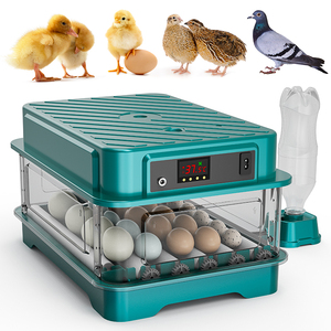 24 Trứng Điện Kép Tự Động Trứng Quay Gà Nở Lồng Ấp Chick Vịt Chim Cút Trứng Lồng Ấp Cho Bán - Product Image 2