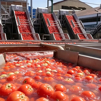 Mélangeur automatique multi-tension haute capacité pour pâte de tomate – Équipement complet de traitement, lavage et concentration de tomates