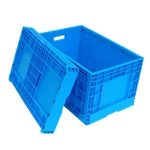 Milk Vegetable Storage Boxes Pastel Folding Plastic Crates Mould With Folding Lid