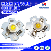 Puce LED blanche haute puissance personnalisable 1-3W 38mil OEM ODM pour l'éclairage architectural et paysager de scène