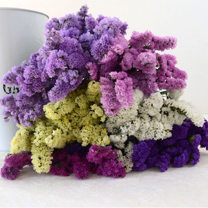 Flores Secas Naturales Preservadas de Myosotis Sylvatica (No Me Olvides) de Zante para Decoración del Hogar, Oficina y Eventos - Product Image 3