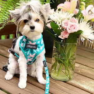 ชุดสายรัดสุนัขแบบปรับได้พร้อมแผ่นรอง ลายพิมพ์ Sassy Woof ดีไซน์ดอ<span class=keywords><strong>ก</strong></span>ไม้ วัสดุนีโอพรีน โลโก้ลูกสุนัข ไม่รั้ง สายรัดสุนัขลายโลโก้ลูกสุนัข - Product Image 6