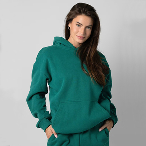 Tùy Chỉnh Của Phụ Nữ Quá Khổ Áo Thun Hoodie Jogger Bông Polyester Lông Cừu 3D Thêu Phía Trước <span class=keywords><strong>Kangaroo</strong></span> Túi Dây Kéo Mùa Đông - Product Image 1