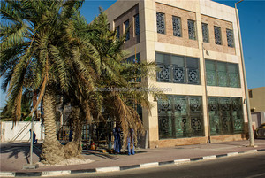 Tùy Chỉnh Nhà Kim Loại Nhôm Rèn Sắt Cửa Sổ Nướng Thiết Kế Trang Trí An Ninh Lưới Cho Cửa Sổ - Product Image 5