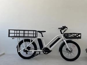 Livraison de nourriture en famille E-Bicycle E-<span class=keywords><strong>Cargo</strong></span> Ebike E-Bike Electric e city <span class=keywords><strong>cargo</strong></span> bike delivery e bike <span class=keywords><strong>sans</strong></span> batterie - Product Image 6