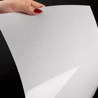 Carton ivoire C1S 230/250/300GSM en feuilles, 100% pâte de bois, qualité supérieure