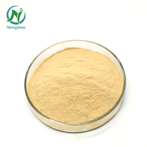 Davul ambalajında % 100% doğal gıda sınıfı Hami kavun tozu yüksek kaliteli kavun meyve özü - Product Image 3