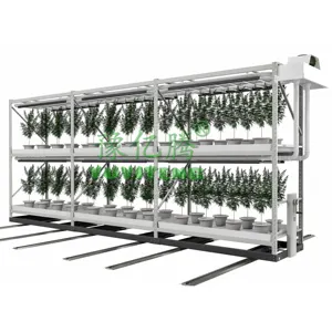 Vertikales Hydroponik-Regal für die Landwirtschaft mit LED-Licht im Gewächshaus