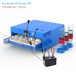 Máy Ấp Trứng Gà Quil Mini /Icubator, Máy Ấp Trứng Tự Động Cho Máy Ấp Trứng - Product Image 3