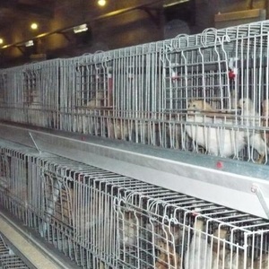 Yeni 4 Katlı Galvaniz Çelik Tavuk Kuluçka Kafesi, Kanatlı Çiftlikleri için Uzun Ömürlü - Product Image 4