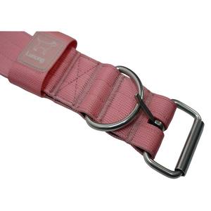 Collier pour chien rose robuste avec doublure rembourrée douce, boucle à ardillon pour chiens de taille moyenne et grande, nylon durable et quincaillerie métallique - Product Image 5