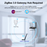 GIRIER ZigBee 3.0 Alexa Prise Connectée ZigBee 4200W 20A avec Suivi de Consommation et Fonction Minuteur (UE)
