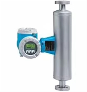 Débitmètre massique thermique E+H 65F haute performance et de qualité supérieure - Product Image 4