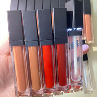 Tube de Gloss Végétalien Brillant en Gros Avec Miroir et Lumière LED, Rouge à Lèvres Liquide Mat Haute Pigmentation Sous Marque Privée