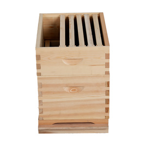 Australian beehive bee box 10 telai alveari completi - Product Image 5