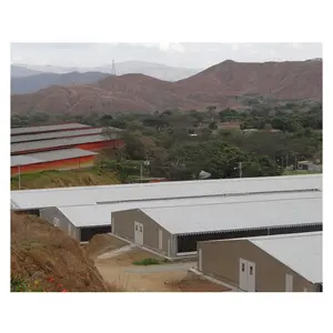 Projetor de construção de estrutura de aço, hangar, casa de fazenda, armazém de fazenda, casa de galinha, pré-fabricada