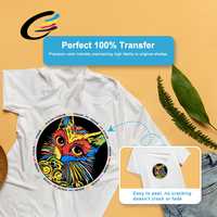 Film Transfer PET DTF FCOLOR 30CM Gulungan Satu Sisi 100M Film Cetak Transfer Panas Langsung ke Film untuk XP600 I3200 DTF