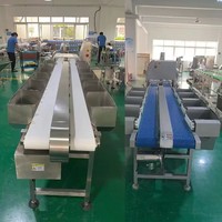 Trieuse de pesage à plusieurs niveaux, machine de pesage et de calibrage pour volailles, poulets dans les abattoirs