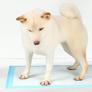 Tapis d'apprentissage pour chiots, 5 couches, jetables, en plastique écologique, personnalisables, pour l'entraînement à la propreté des chiens - Product Image 5