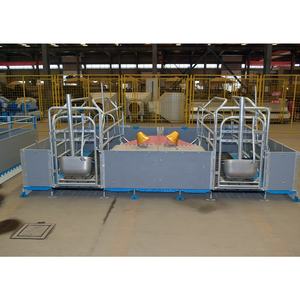 Equipo para Granjas Porcinas de Bajo Costo y Alta Calidad, Jaula de Parto para Cerdas con Piso con Comedero en Venta - Product Image 6
