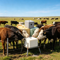 Bloc de sel minéral de qualité supérieure pour l'alimentation animale, sel à lécher pour le bétail, pour la santé des vaches laitières, des moutons et des chèvres