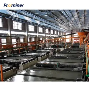Prominer EPC mining Gemini gold separation plant for fine gold in CIL in CIP processing plant and alluvial gold shaking table