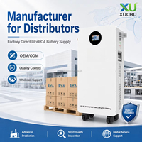Système solaire hybride XU 16 kWh 51,2 V avec batterie LiFePO4 10-20 kW, BMS intelligent modulaire, IP65, montage mural AC pour stockage d'énergie domestique