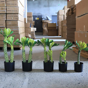 Cactus <span class=keywords><strong>Haworthia</strong></span> Artificiale in Plastica di Alta Qualità per Paesaggistica Desertica - Alta Simulazione per Uso Interno/Esterno Naturale - Product Image 2