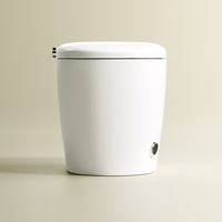 Inodoro Inteligente de Una Pieza de Estilo Moderno, Sanitario de Cerámica, Inodoro WC de Suelo con Autolimpieza