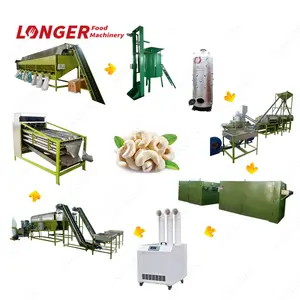 Factory Price Full Automatic Cashew Nut Grader Equipment Cashew Processing Machine Plant
