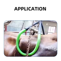 Support d'accouchement et d'allaitement pour vaches, aide au levage des bovins, support auxiliaire post-partum pour vaches, élévateur de hanche pour vaches