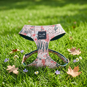 Cotton Comfortable Fashion <b>Dog</b> Harness Cat Harness Cute Fashion Adjustable Cute Buckle Closure for Small Size <b>Dogs</b> and Cats - Product Image 1
