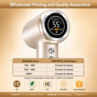 Sèche-cheveux portable OEM&ODM mini avec moteur BLDC haute vitesse 110000 tr/min, ionique négatif, nouveau design pour les voyages et les hôtels