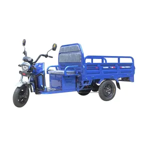 New Exclusive Patent Shock-Absorbent Seat Support OEM Customization 1500W Motor Electric Tricycle Cargo Trike
