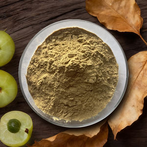 Gesundheits wesen Pflanzen pulver Phyllanthus Emblica Pulver - Product Image 3