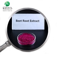 Extrait de plante Poudre de jus de betterave bétaïne végétale lyophilisée Extrait de racine de betterave rouge