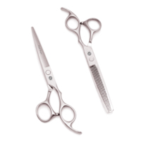 Tijeras de peluquero, tijeras profesionales de peluquería de acero japonés, hoja afilada, mango ergonómico, adelgazamiento de tensión ajustable Z1006