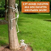 Décoration de maison hantée pour Halloween : Squelette articulé grandeur nature de 3 pieds avec piquets de fixation au sol, ensemble réaliste squelette humain et squelette de chien